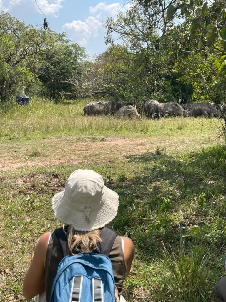 6 days Budget Uganda Adventure Safari