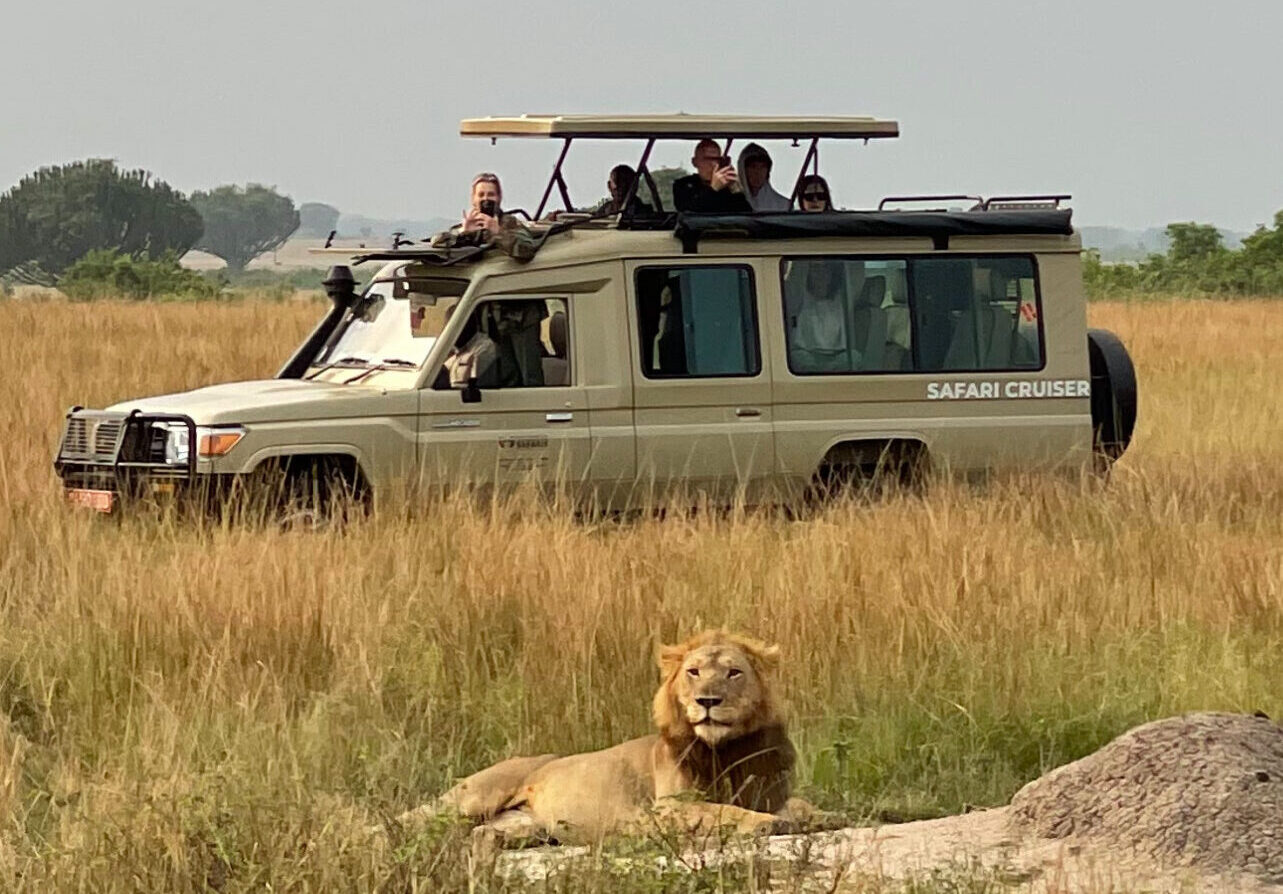 What to Do on a Uganda Tour