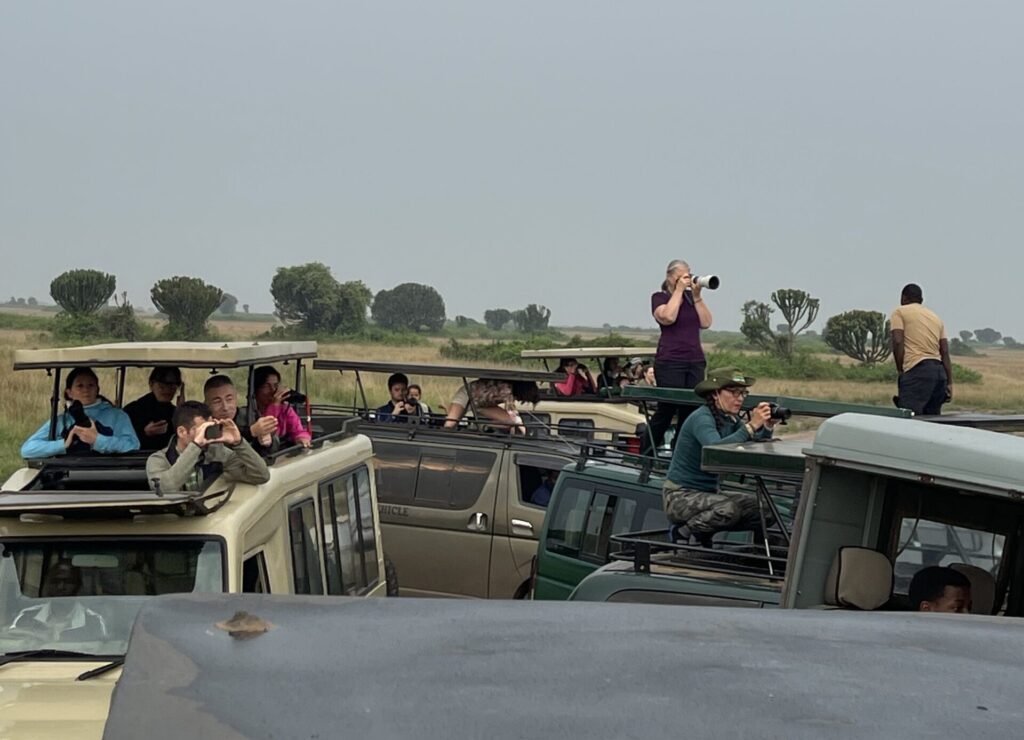 5 Days Gorilla and Wildlife Safari Tour in Rwanda