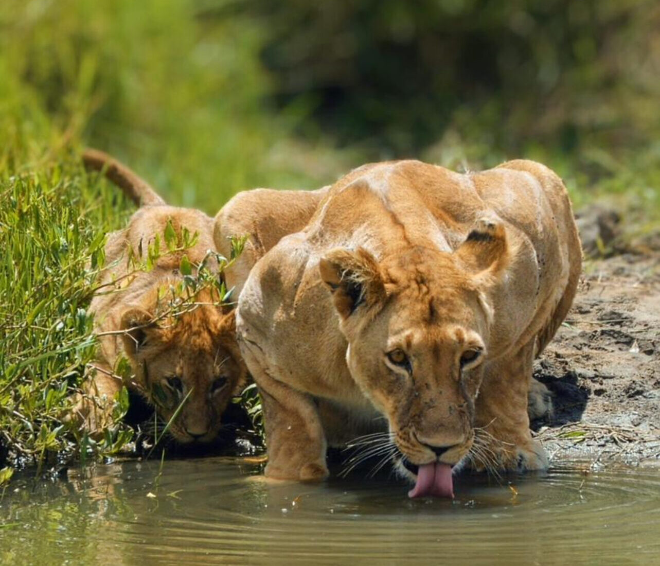 Zanzibar Archipelago