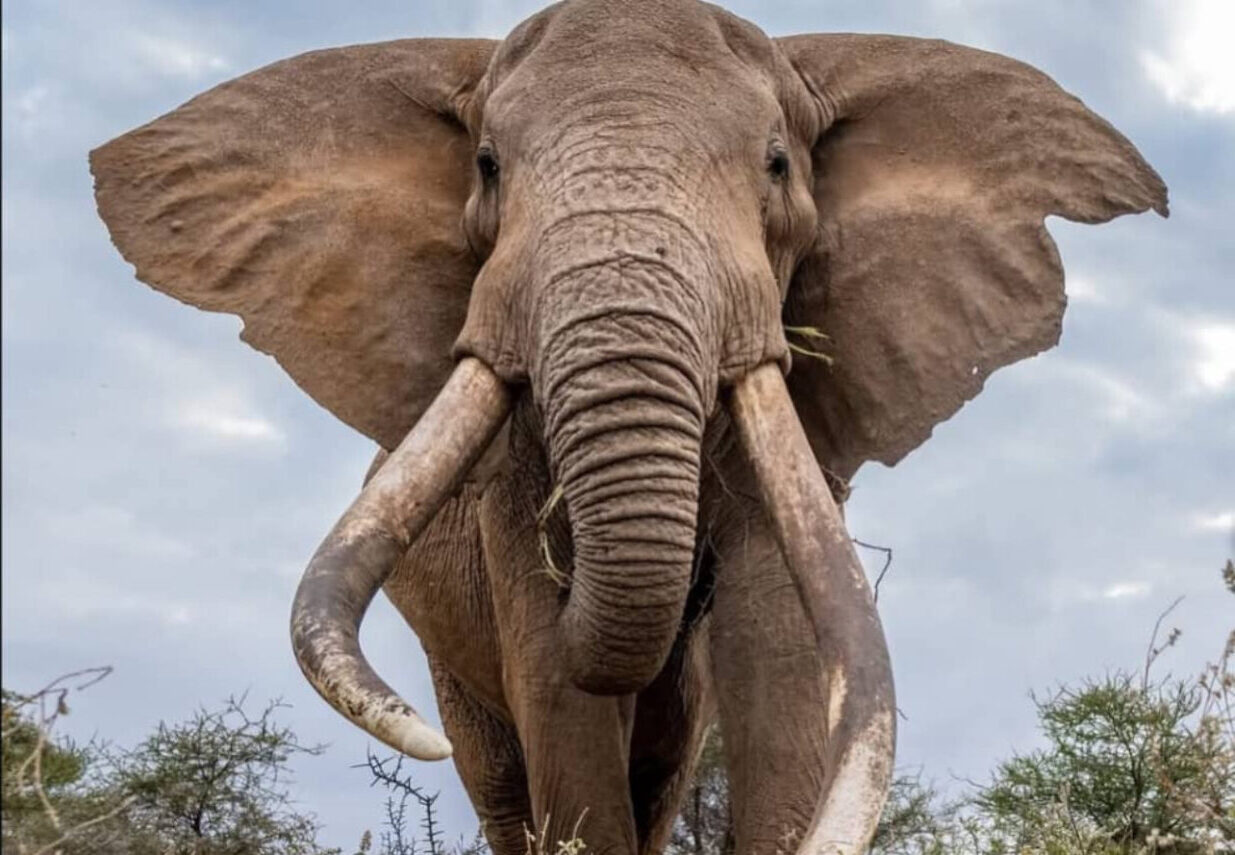 3 Days Masai Mara Safari