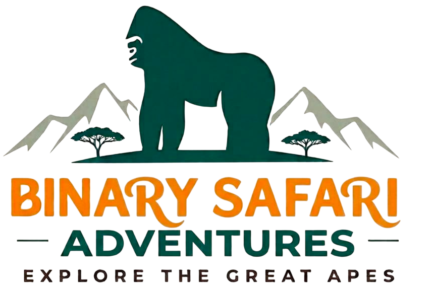 Binary Safari Adventures