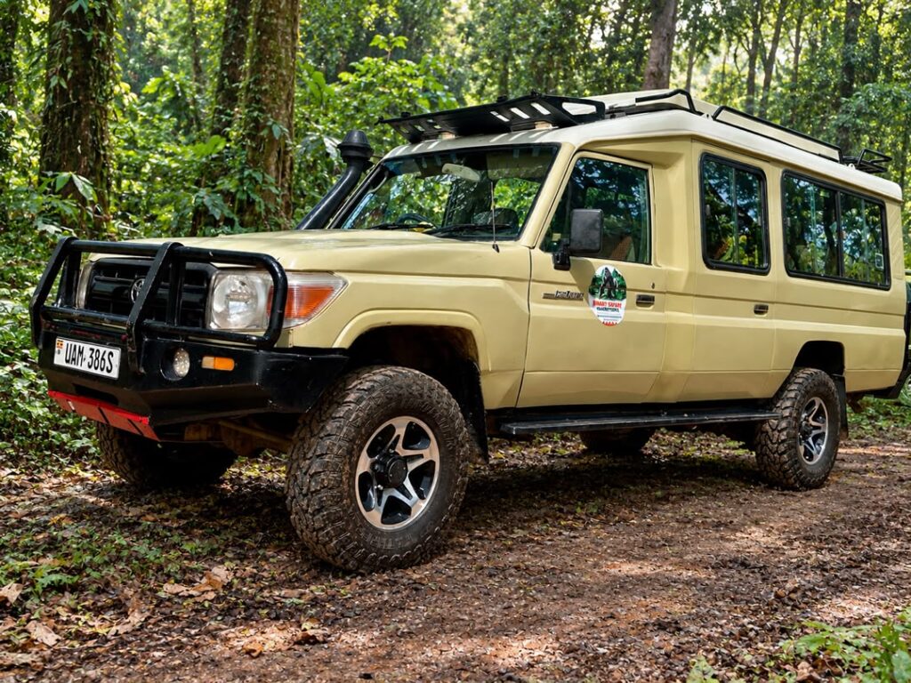 2026 Safari